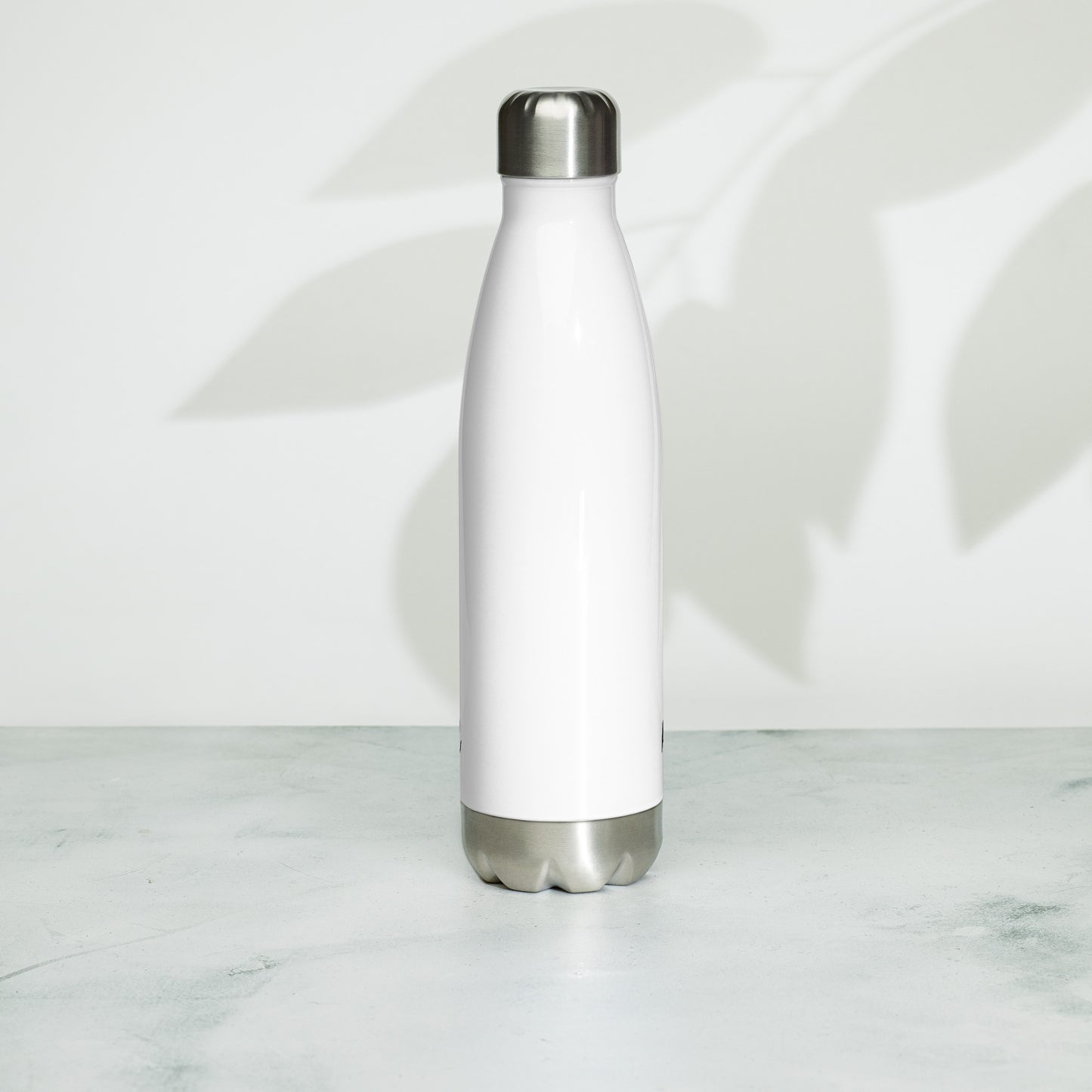 Stainless Steel Water Bottle- As per my last email