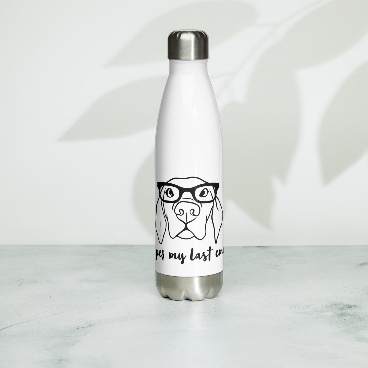 Stainless Steel Water Bottle- As per my last email