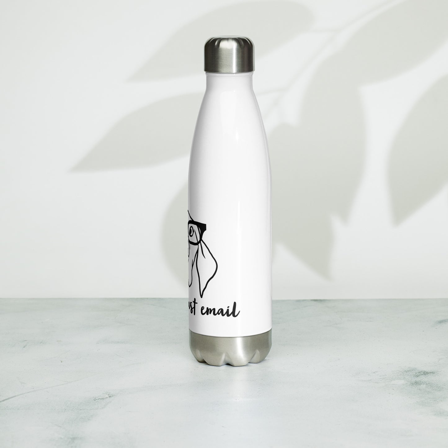 Stainless Steel Water Bottle- As per my last email