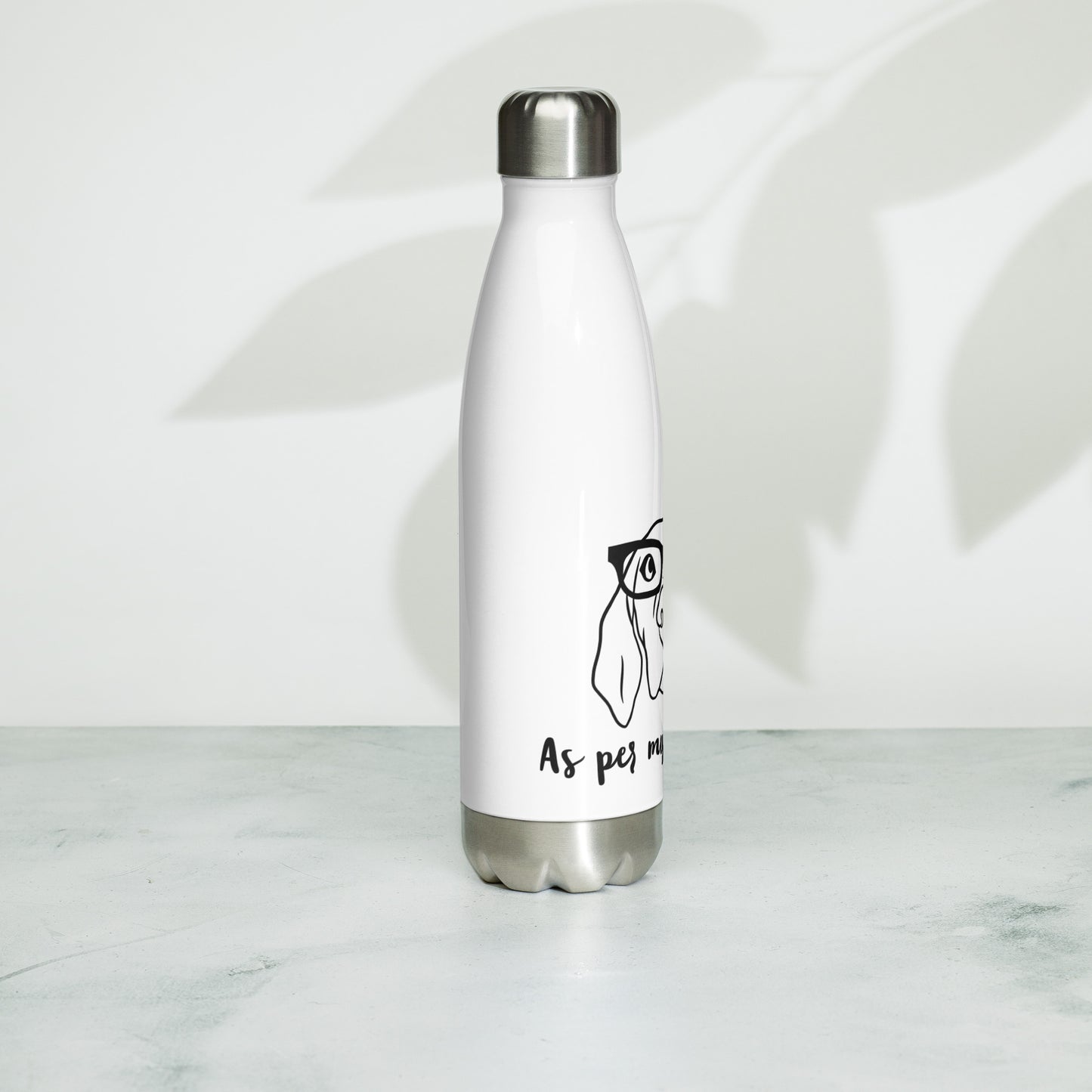 Stainless Steel Water Bottle- As per my last email